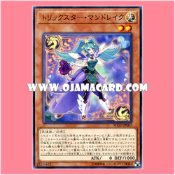 FLOD-JP007 : Trickstar Mandrake (Common)