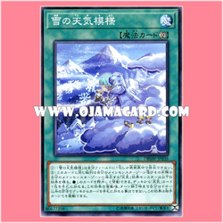 DBSW-JP036 : Snowy Weathery Pattern (Common)