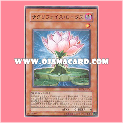 PTDN-JP004 : Samsara Lotus / Sacrifice Lotus (Common)