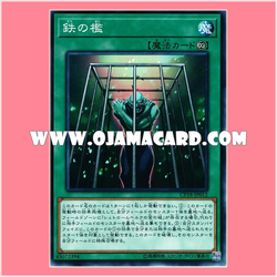 CP18-JP012 : Iron Cage (Common)