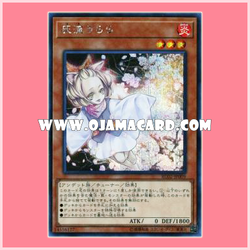 RC02-JP009 : Ash Blossom & Joyous Spring / Haru Urara (Secret Rare)