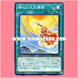 DBSW-JP039 : Sunny Weathery Pattern (Common)