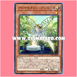 LVP1-JP078 : Aromaseraphy Angelica (Common)
