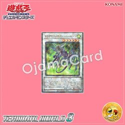 TW03-JP032 : Dragunity Knight - Luin (Secret Parallel Rare)