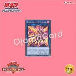 TT02-JPA36 : Salamangreat Raging Phoenix (Common)