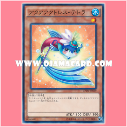 CPD1-JP039 : Aqua Actress - Tetra (Common)
