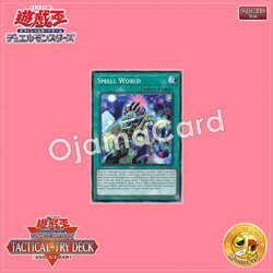 TT02-AEA18 : Small World (Common)