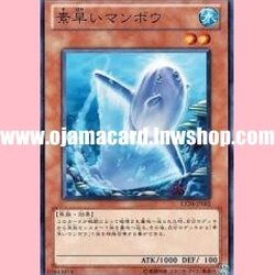 EXP4-JP005 : Nimble Sunfish (Common)