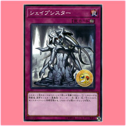 SD38-JP037 : Shapesister (Common)