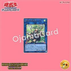 QCCU-JP188 : Wynn the Wind Charmer, Verdant / Wynn the Verdant Wind Spirit Charmer (Ultimate Rare)