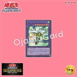 TTP1-JP038 : Masked HERO Divine Wind (Secret Rare)