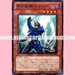 GAOV-JP030 : Inzektor Earwig (Common)