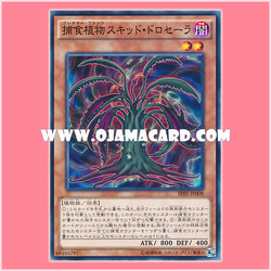 SPFE-JP008 : Predaplant Squid Drosera / Predator Plants Squid Drosera (Common) 98%