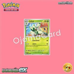 004/022 : เนียโรเต [SVTMT]