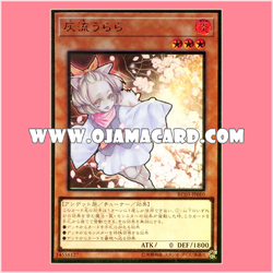 RC03-JP010 : Ash Blossom & Joyous Spring / Haru Urara (Premium Gold Rare)