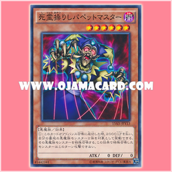 15AX-JPY13 : Puppet Master / Ghost-Controlling Puppet Master (Common)