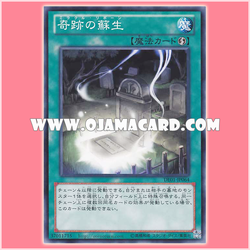 DE01-JP064 : Miraculous Rebirth / Miracle Reborn (Common)