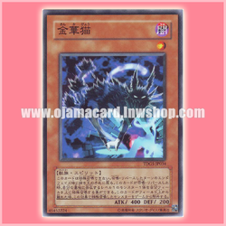 TDGS-JP034 : Kinka-byo / Jinhua Cat (Common)