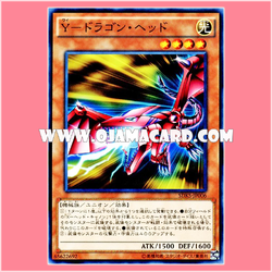 SDKS-JP006 : Y-Dragon Head (Common)