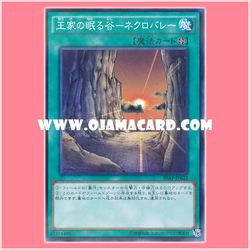 20AP-JP022 : Necrovalley / Valley Where the Royal Family Rests - Necrovalley (Normal Parallel Rare)