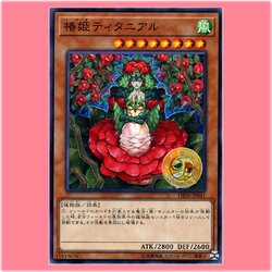 DBSS-JP041 : Tytannial, Princess of Camellias (Common)