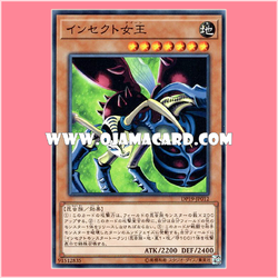 DP19-JP012 : Insect Queen (Common) 98%