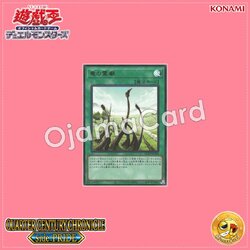 QCCP-JP194 : Dragon Shrine (Ultra Rare)