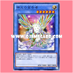 20AP-JP075 : Herald of Perfection / Declarer of Divine Light (Normal Parallel Rare)