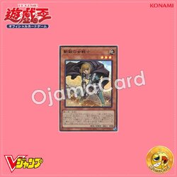 VJMP-JP207 : Rookie Warrior Lady (Ultra Rare)