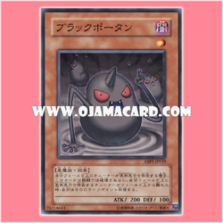 ABPF-JP029 : Black Potan (Common)