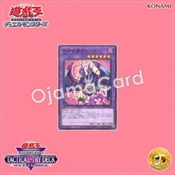 TT01-JPC28 : Garura, Wings of Resonant Life (Common)