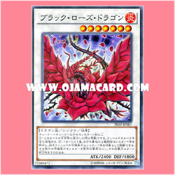 20AP-JP067 : Black Rose Dragon (Normal Parallel Rare)