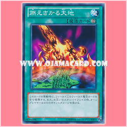 15AY-JPA31 : Burning Land / Blazing Earth (Common)