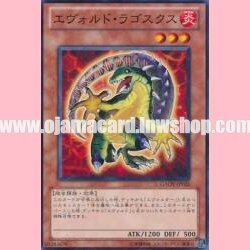 GAOV-JP026 : Evoltile Lagosucho (Common)