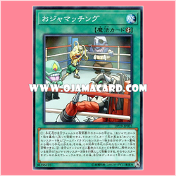 DP19-JP023 : Ojamatching (Common) 98%