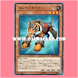 LVP1-JP009 : Test Tiger / Slave Tiger (Common)