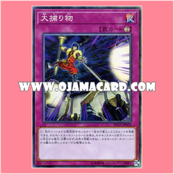 RC03-JP050 : Crackdown / Big Catch (Collectors Rare)