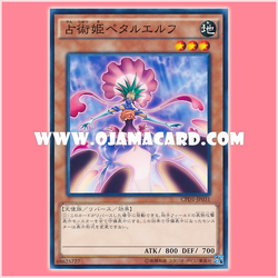 CPD1-JP031 : Petalelf the Sibyl (Common)