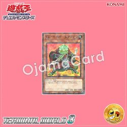 TW03-JP008 : XX-Saber Ragigura (Normal Parallel Rare)