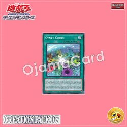 CR07-AE044 : Cynet Codec / Cybenet Codec (Common)