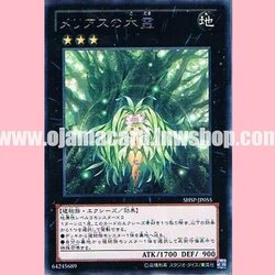 SHSP-JP055 : Tree Spirit of the Meliaes (Rare)