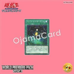 WPP4-JP009 : Riryoku Guardian / Force of Guardian (Common)