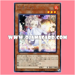 RC03-JP010 : Ash Blossom & Joyous Spring / Haru Urara「alternate art」(Secret Rare)