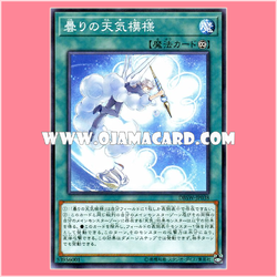 DBSW-JP038 : Cloudy Weathery Pattern (Common)