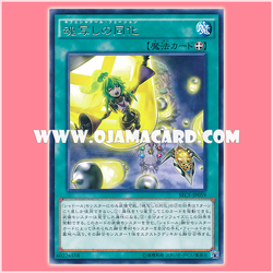 SECE-JP059 : Nephe Shaddoll Fusion (Rare) 95%