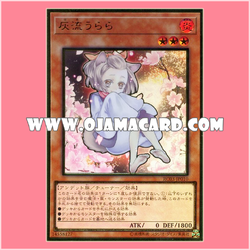 RC03-JP010 : Ash Blossom & Joyous Spring / Haru Urara「alternate art」(Premium Gold Rare)