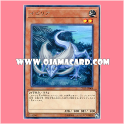 CP19-JP001 : Ipiria (Rare)「95% - 98%」