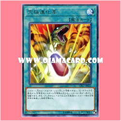 CP17-JP032 : Double Evolution Pill / Ultimate Evolution Pill (Rare)