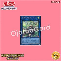 QCCU-JP188 : Wynn the Wind Charmer, Verdant / Wynn the Verdant Wind Spirit Charmer (Secret Rare)