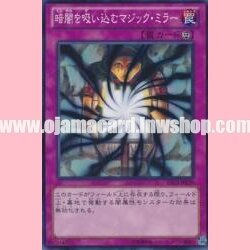 DS13-JPL39 : Shadow-Imprisoning Mirror (Common)